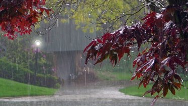 298992__cold-fall-rain_p